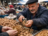 Walnut Kernels Hold Steady as New‑Crop Signal Builds from CN, IN and US