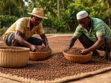 Indian Clove Prices Firm as Mixed Spice Complex Demands Selective Buying