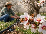 Zero-Duty Breakthrough Puts California Almonds in the EU Fast Lane