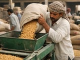 Tight Desi Supply Keeps Chickpea Market Supported Despite Slow Demand