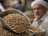 Cumin Market Under Pressure as West Asia Tensions Hit Indian Spice Exports