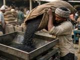 Black Gram Softens on Weak Mill Demand, Watch Monsoon and Kharif Pulse Sowing