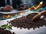 Indian Pepper Market Stalls Despite Looming Supply Tightness