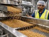 Coriander: High Indian Mandis, Softer Exports and a Narrow Upside