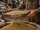 Рынок кориандра слегка укрепляется на фоне мирного соглашения по Ормузскому проливу и улучшения экспортных настроений
