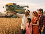 Soybean Market: India’s Import Shift Supports Soy Oil, Keeps Beans Firm