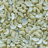 Cashew  kernels — LWP