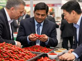 Indian Chilli FOB Prices Steady, Monsoon Risks Limit Downside