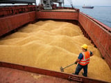 Ukrainian Millet Slips as Black Sea Freight Firms but Weather Stays Friendly