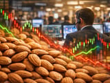Almond Prices Hold Firm as Export Pull and Smaller Crop Tighten Balance