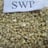 Cashew  kernels — SWP