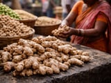 Indian Dried Ginger Prices Hold Flat as Domestic Fresh Market Firms