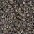 Sunflower seeds