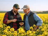 Rapeseed Futures Stabilise Near Highs as Canola Rally Adds Support