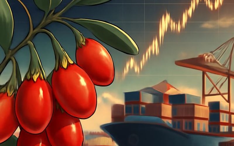ثبات حذر لأسعار توت الغوجي الصيني مع طقس بارد يحدّ من التقلبات