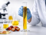 Palm Oil Eases From Highs As Weak Exports Trigger Second Weekly Loss