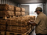 La casse biologique indienne reste stable tandis que l’orientation vers l’export compense le ralentissement du commerce des épices