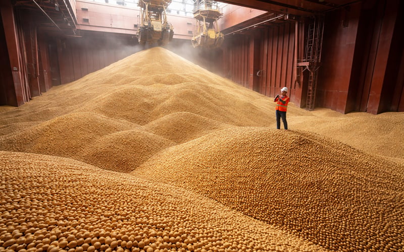 Soybeans hold firm as futures edge higher and by‑products stabilize