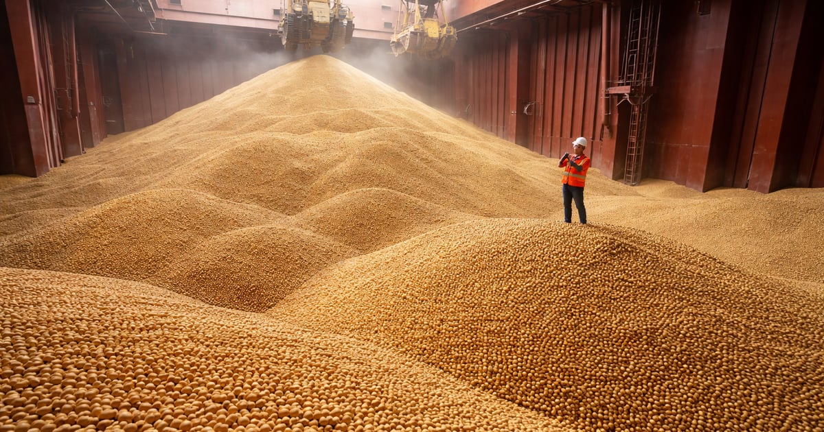 Soybeans Market Update – Futures, Crush Margins and Weather Risks — CMB ...