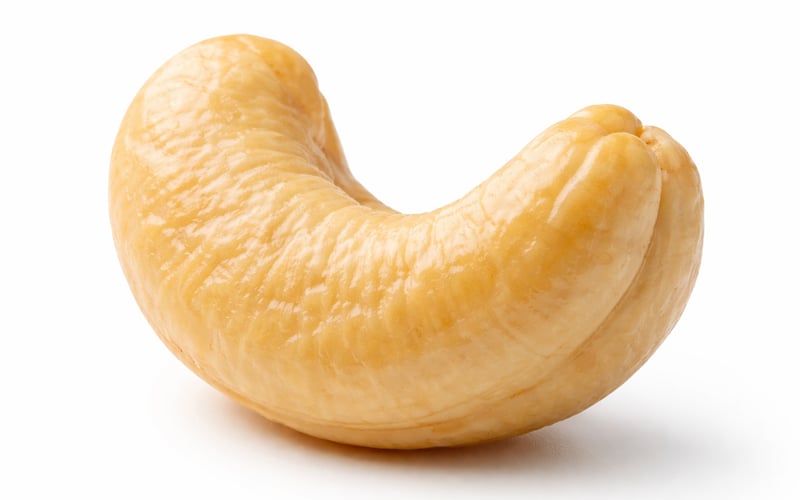 Indian Festive Buying Lifts Cashew Kernels into a Gradual Firm Trend