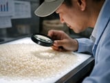 Rice Market Softens as CBOT Futures and Asian FOB Prices Edge Lower