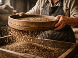Finnish Caraway Holds Firm as Buyers Watch Weather and EU Supply