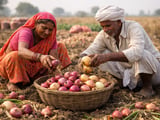 Indian Onion Exports Under Climate and Cost Pressure
