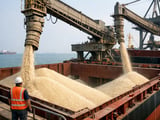 Philippines Demand Opens New Window for Telangana’s Non-Basmati Rice