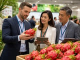 Vietnam Dried Red Dragon: FOB Hanoi Slips but Remains Firm Versus Fresh Market Slump