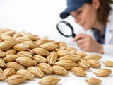 Barley Market Holds Steady as Weather Risks Build in Europe
