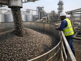 Tanzania’s new tax regime reshapes sunflower oil economics