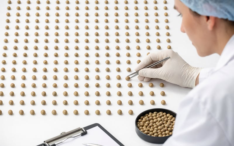 EU Hempseed Prices Edge Softer as Chinese and French Offers Converge