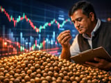 Indian Coriander Firms on Tight Premium Supply and Steady Export Buying