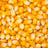Corn — feed grade, moisture: 14 % max