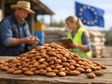 EU Zero-Duty Quota Reshapes Almond Trade into Europe