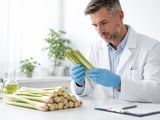 Egyptian Lemongrass FOB Cairo Eases as Freight Risks Rise in Red Sea