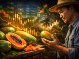 Tayland El Niño Riskiyle Vietnam İhracatındaki Güçlü Seyir Çakışırken Kurutulmuş Papaya Piyasası Sakin