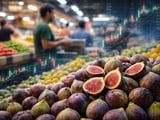 Subdued Anjeer Demand Weighs on Figs Despite Firm Nut Complex