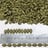 Pumpkin seed kernels — shine skin, grade aa