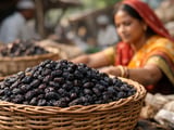 Indian Raisin Prices Hold Firm Despite Heavy Monsoon Rains in Maharashtra