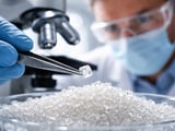UP Cane Squeeze Adds Bullish Undercurrent to a Flat Sugar Market