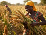 Indian Bajra Rally Ripples Through Global Millet and Feed Markets