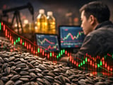 Chinese Sunflower Market: Weak Momentum Amid Heavy Stocks and Big New Crop