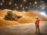 Indian Jaggery Tightness Lifts Sugar Complex Amid Managed Global Surplus