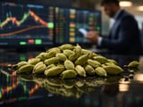 Stockists Step Back, Festive Demand Lifts Indian Cardamom Prices