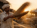 Ajwain Firms in Delhi as Festival Buying Picks Up and Stocks Stay Tight