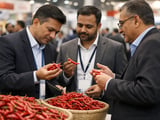 Indian Red Chilli Market Holds Steady as Buyers Stay Cautious