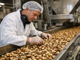 Brazil nut prices steady in Dordrecht as EU nut demand softens
