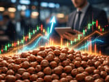 Turkish Hazelnuts Hold Firm as TMO Floor Caps Downside