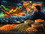 Lentils under Pressure: Bearish Harvest, Bullish Risk from India’s Monsoon